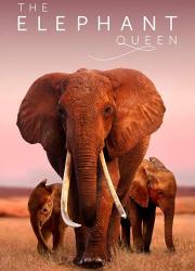 the-elephant-queen-2019-rus