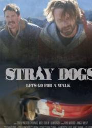 stray-dogs-2020-rus