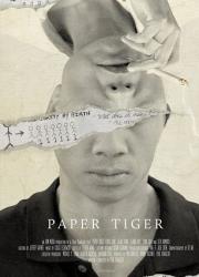 paper-tiger-2020-rus