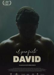 el-perfecto-david-2021-rus