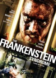 the-frankenstein-syndrome-2010