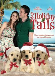 3-holiday-tails-2011-rus