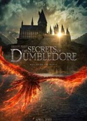 fantastic-beasts-the-secrets-of-dumbledore-2022