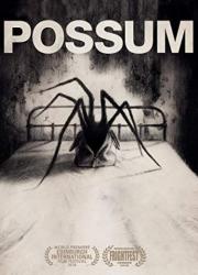 possum-2018-rus