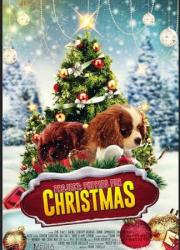 project-puppies-for-christmas-2019-rus