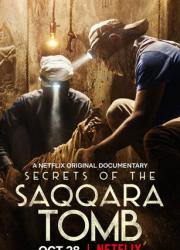 secrets-of-the-saqqara-tomb-2020-rus