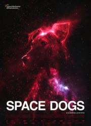 space-dogs-2019-rus