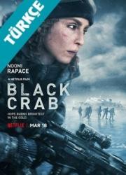 black-crab-2022