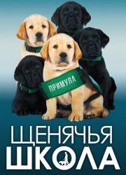 pick-of-the-litter-2018-rus