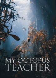 my-octopus-teacher-2020-rus
