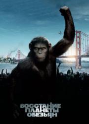 rise-of-the-planet-of-the-apes-2011-rus