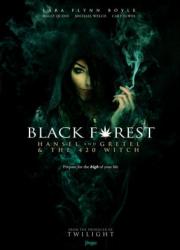 black-forest-black-forest