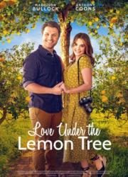 love-under-the-lemon-tree-2022-rus