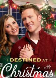 destined-at-christmas-2022-rus
