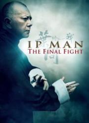 ip-man-the-final-fight-2013