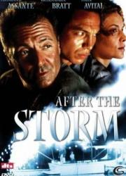 after-the-storm-2001-rus