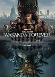 black-panther-wakanda-forever-2022