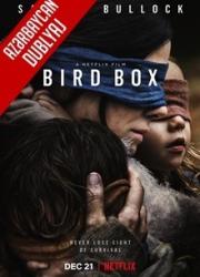 bird-box-2018-az