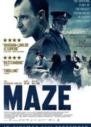 maze-2017-copy