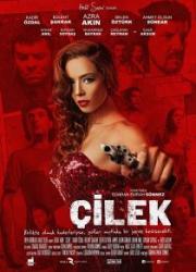 cilek-2014-copy