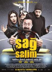 sag-salim-2012-copy
