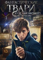 fantastic-beasts-and-where-to-find-them-2016-rus