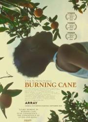 burning-cane-2019-rus