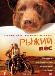 red-dog-2011-rus