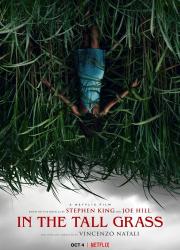 in-the-tall-grass-2019-rus