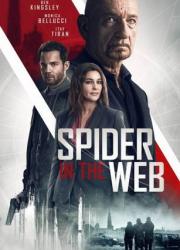 spider-in-the-web-2019-rus